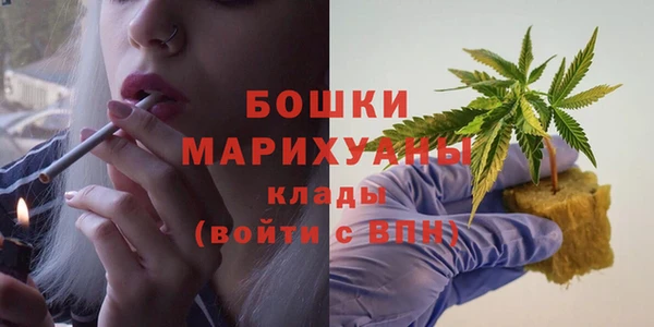 амф Верея