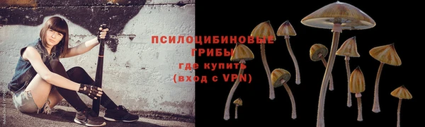 амф Верея