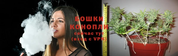 амф Верея