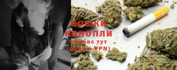 амф Верея