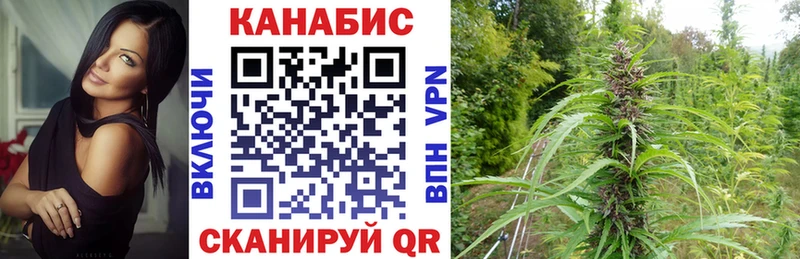 Каннабис VHQ  дарнет шоп  Южно-Сухокумск 